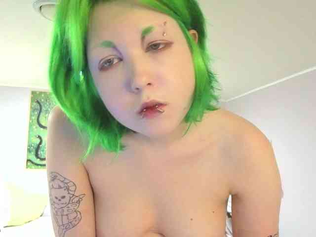 LittleKittenStar webcam