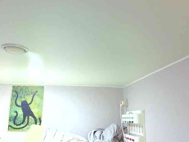 LittleKittenStar webcam