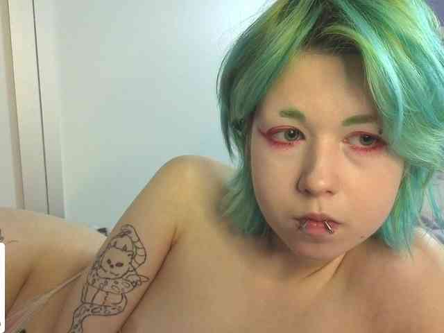 LittleKittenStar webcam