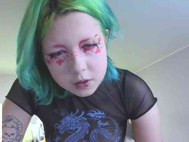 LittleKittenStar webcam