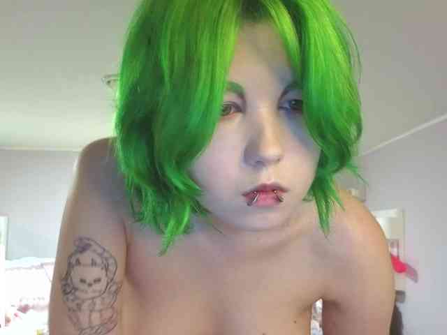 LittleKittenStar webcam