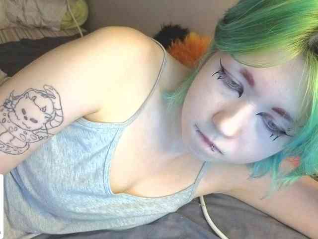 LittleKittenStar webcam