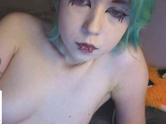 Littlekittenstar's cam show statistics and live stream