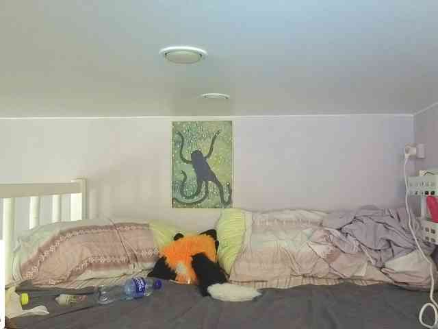 LittleKittenStar webcam