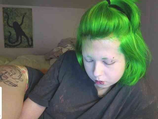 LittleKittenStar webcam