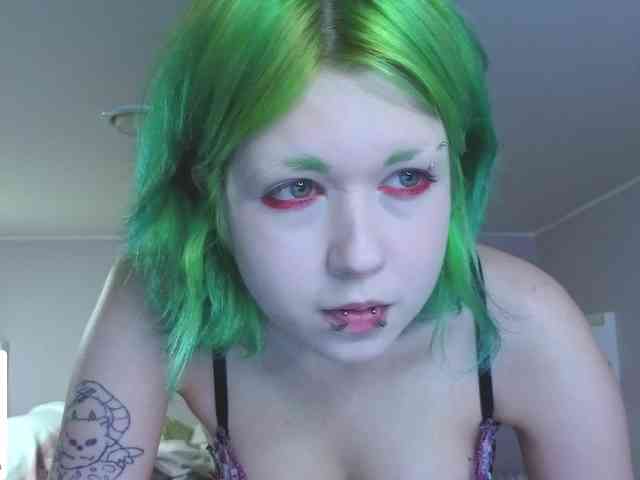 LittleKittenStar LittleKittenStar