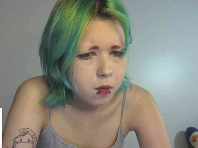 LittleKittenStar LittleKittenStar