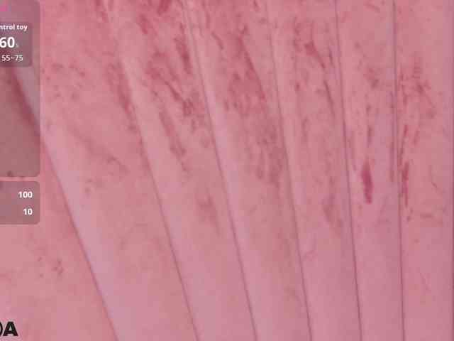 RosellineJoy webcam