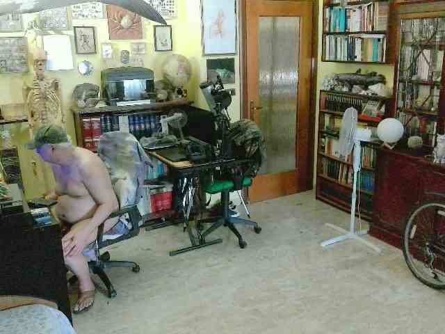 DannyNatur Live Webcam on BongaCams