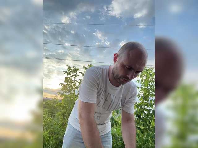 onevoky