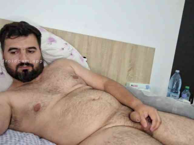 Daddy-Bear