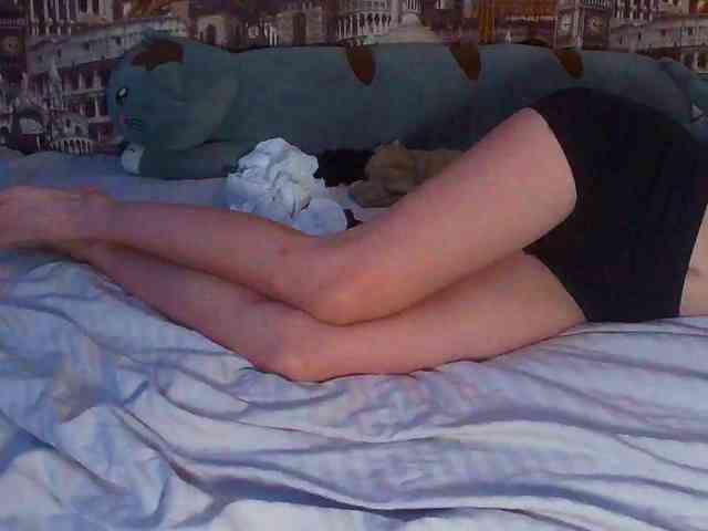 Jennylegs
