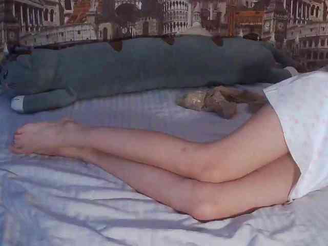 Jennylegs webcam