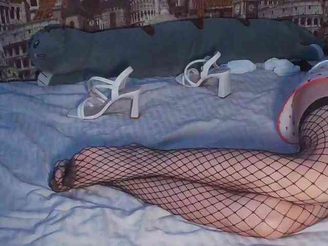 Jennylegs webcam