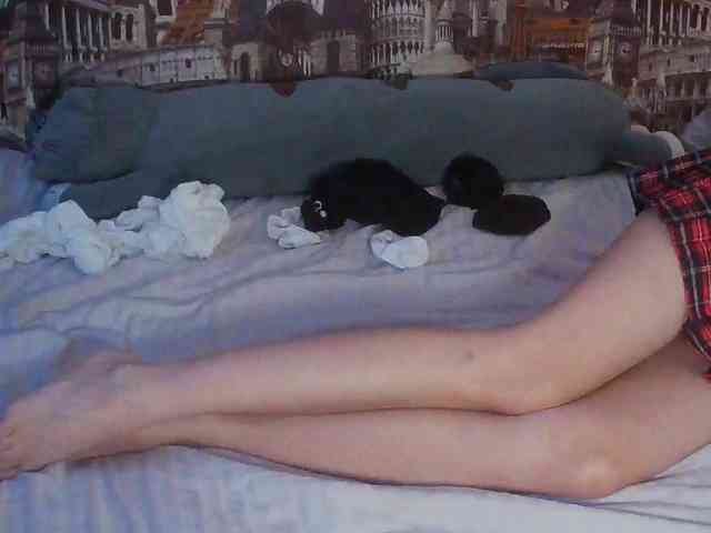Jennylegs webcam
