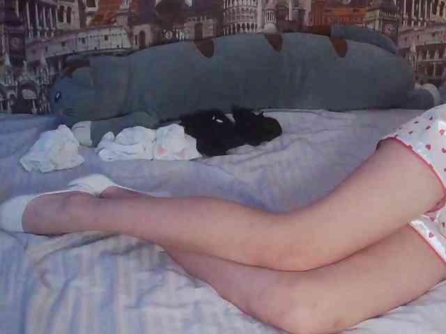 Jennylegs webcam