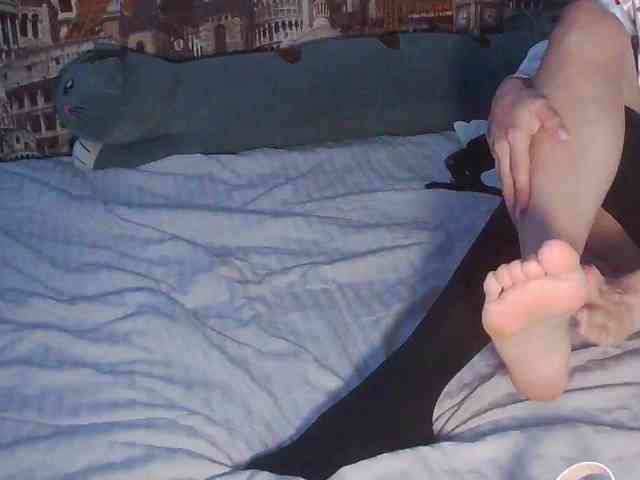 Jennylegs