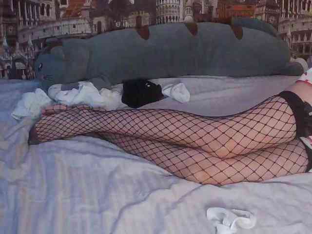 Jennylegs webcam
