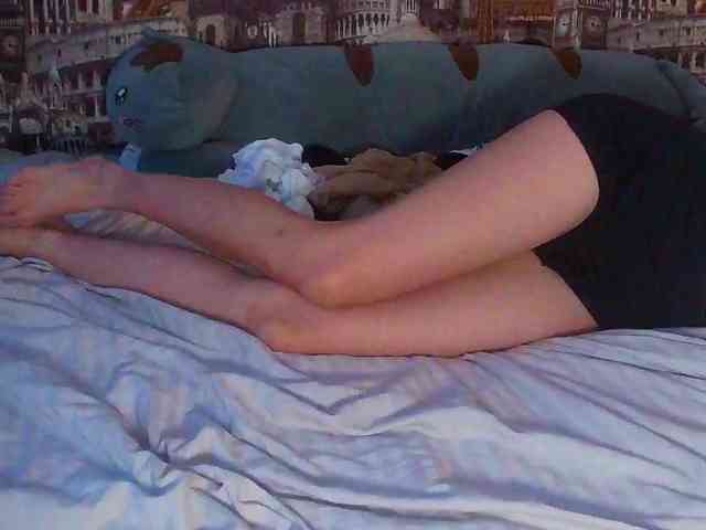 Jennylegs webcam