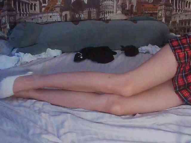 Jennylegs webcam