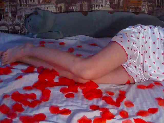 Jennylegs webcam