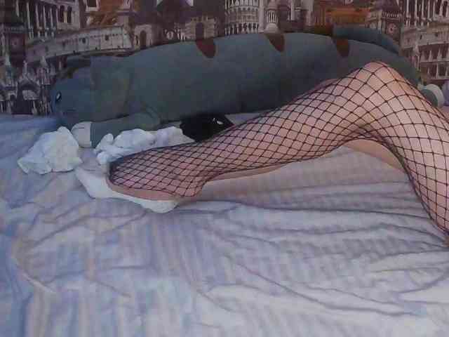 Jennylegs webcam