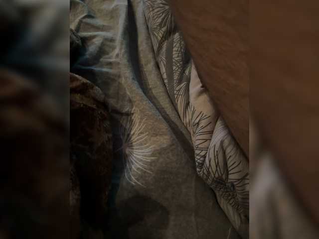 AlexYlia9