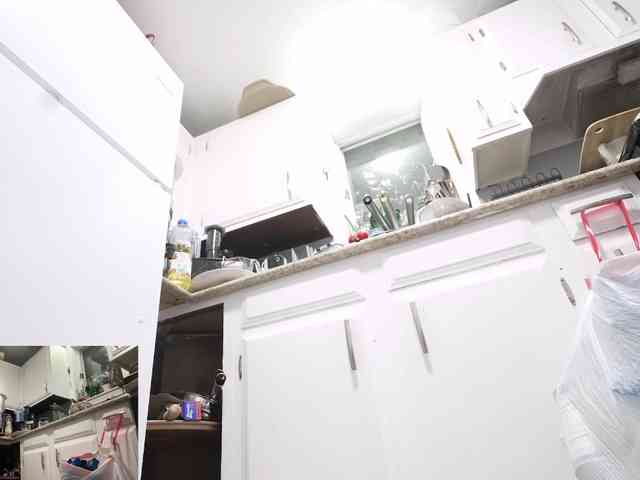 AdoraMeUtDominum webcam