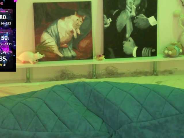 adameow live cam on BongaCams