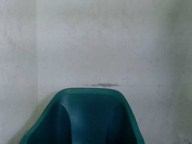 Juicypie live cam on BongaCams