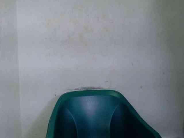 Juicypie webcam
