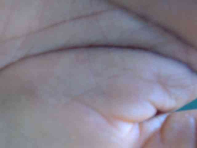Juicypie webcam