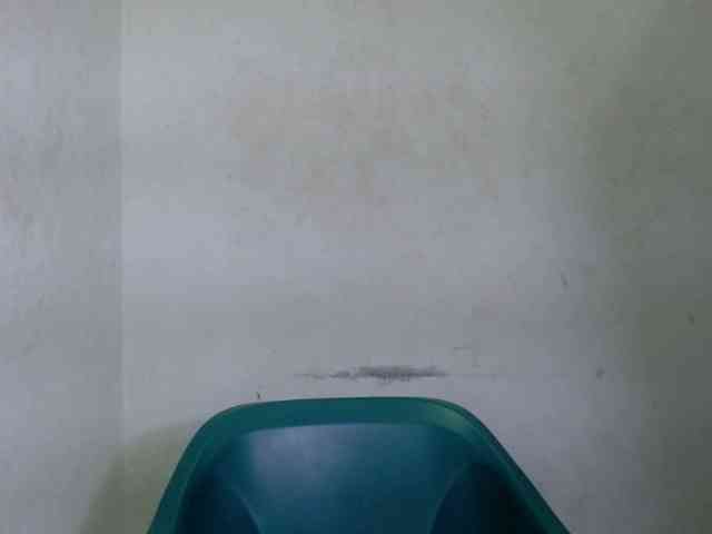 Juicypie webcam