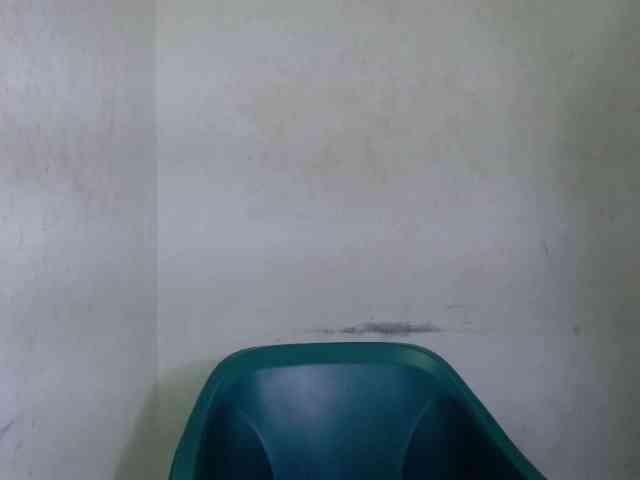 Juicypie webcam