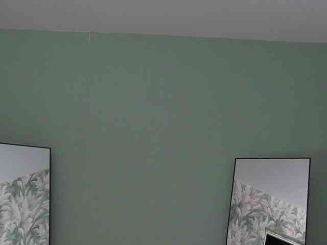 Amelimali webcam