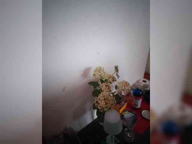 Evittaellite11 webcam