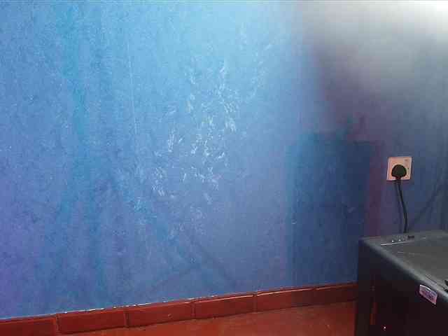 Sassychika webcam