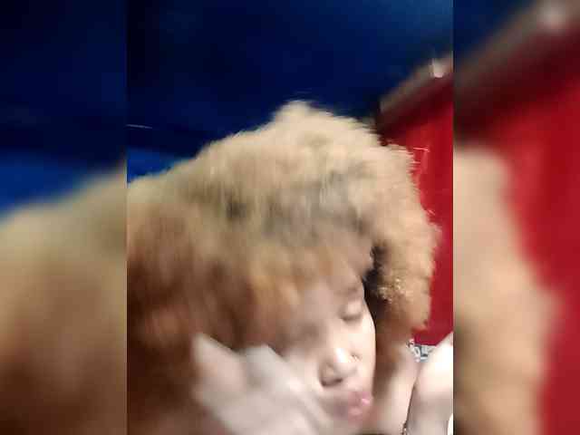Olisexy webcam