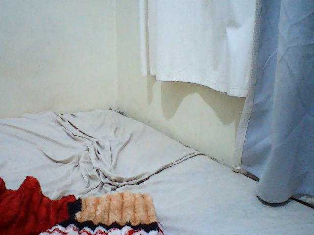 TALISHA3 live cam on BongaCams