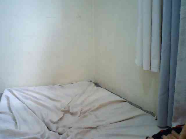 TALISHA3 webcam