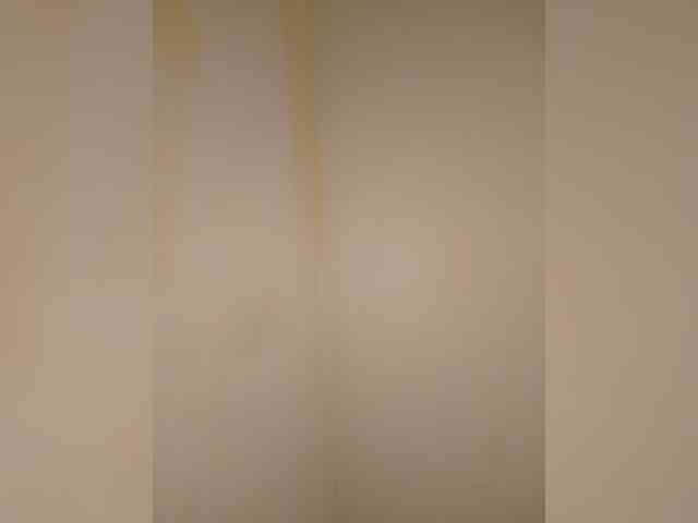 Welly- webcam