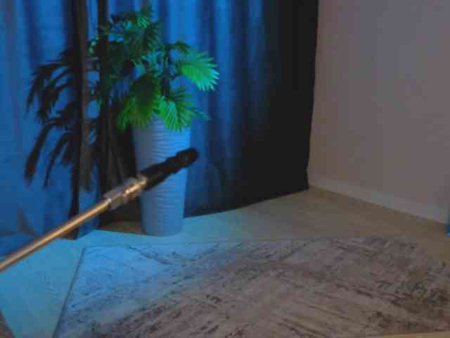Kotickmav webcam