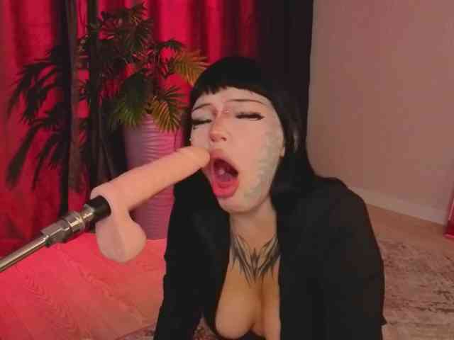 Model: Kotickmav