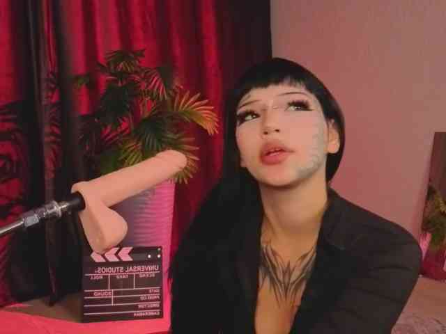 Model: Kotickmav