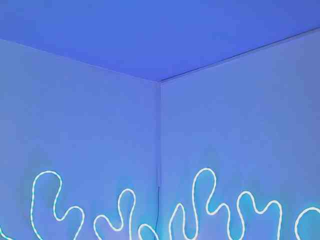 Aleja1214 webcam