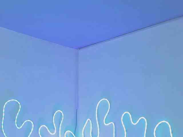 Aleja1214 webcam