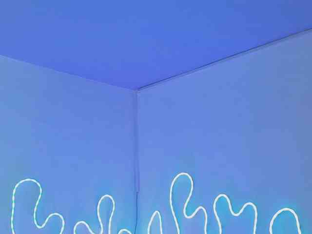 Aleja1214 webcam