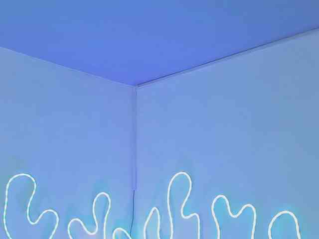Aleja1214 webcam