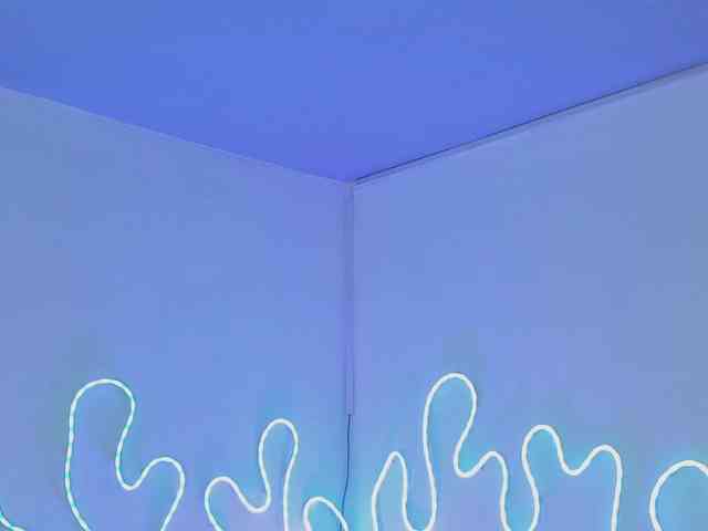 Aleja1214 webcam