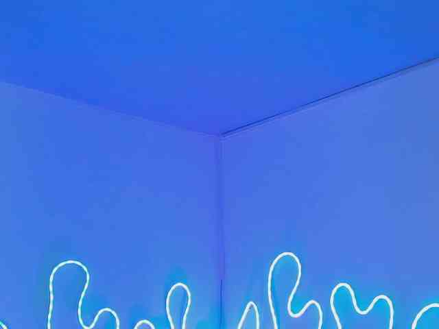 Aleja1214 webcam